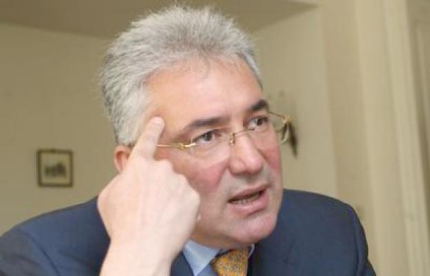 Videanu, despre candidatura Elenei Udrea: 